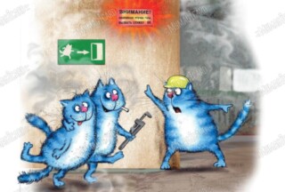 Blue cats, boat, fishing