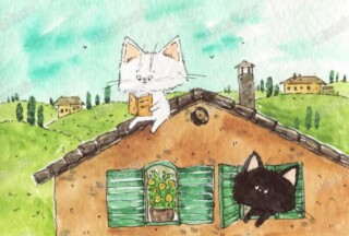cats