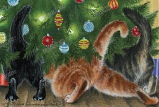 cats