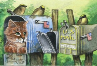 cat