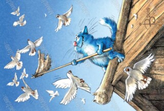 Blue cats, boat, fishing