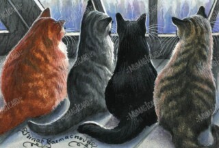 cats