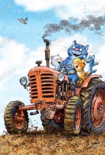 Blue cats, boat, fishing