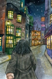 Follow me to the Diagon Alley.jpg